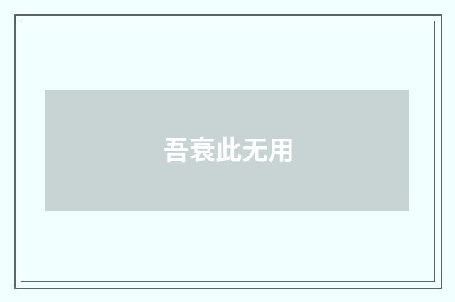 吾衰此无用