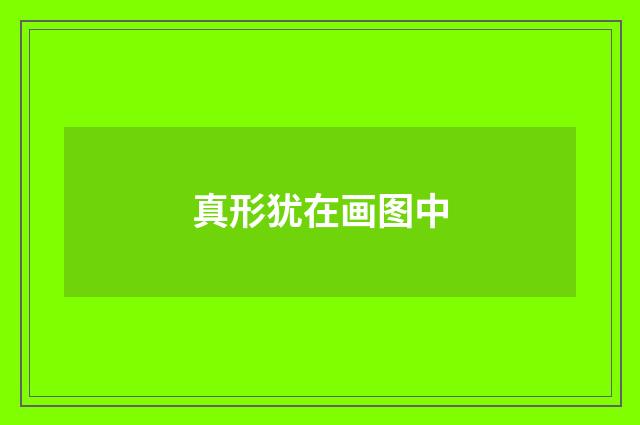 真形犹在画图中