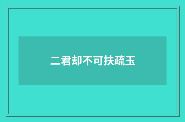 二君却不可扶疏玉