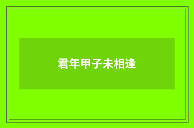 君年甲子未相逢