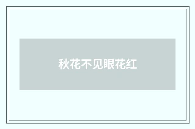 秋花不见眼花红