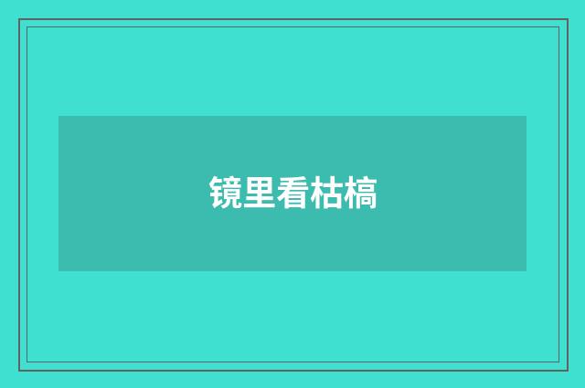 镜里看枯槁