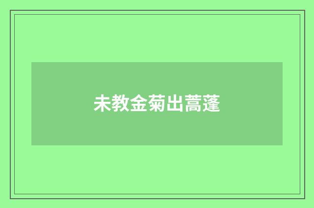 未教金菊出蒿蓬