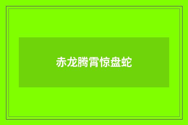 赤龙腾霄惊盘蛇