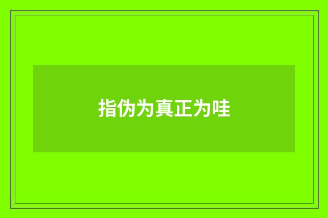 指伪为真正为哇