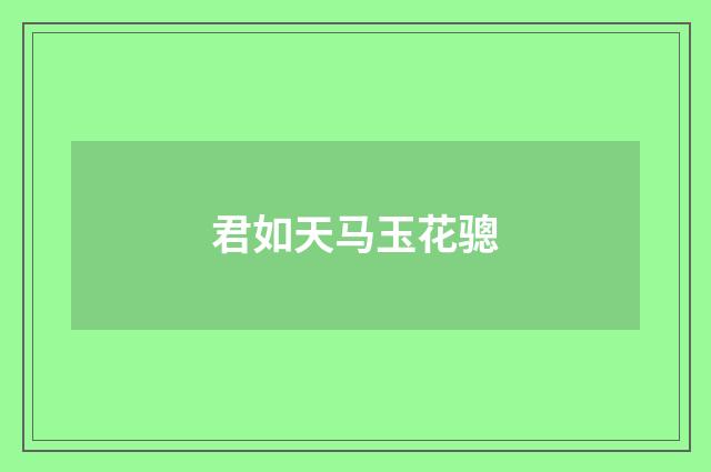 君如天马玉花骢