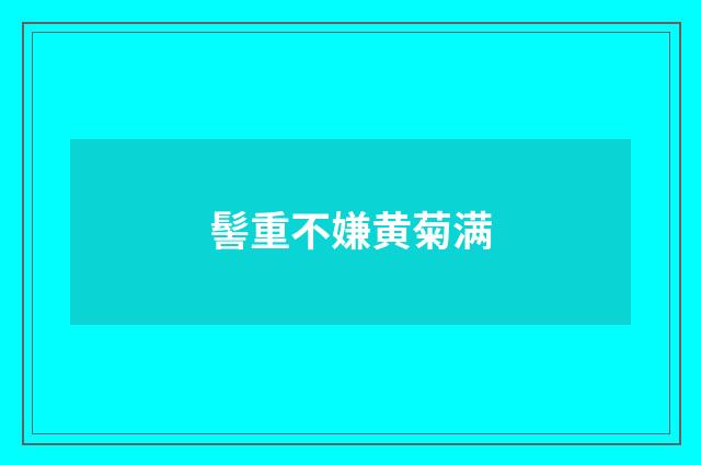 髻重不嫌黄菊满