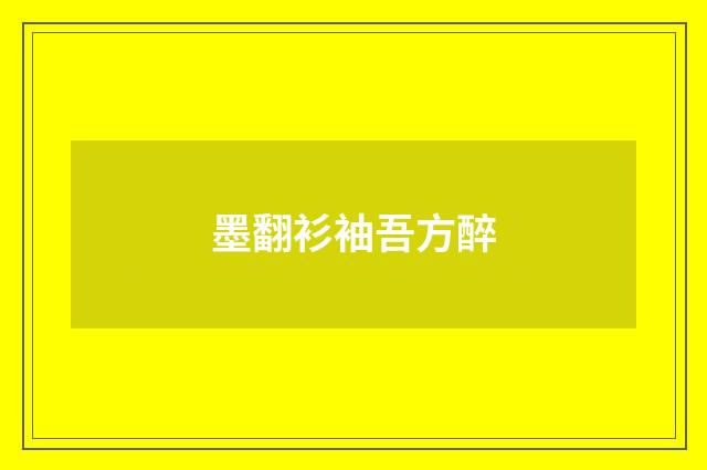 墨翻衫袖吾方醉