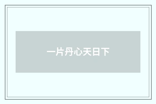 一片丹心天日下
