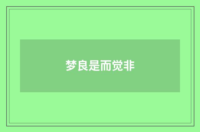 梦良是而觉非
