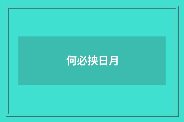 何必挟日月