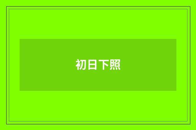 初日下照