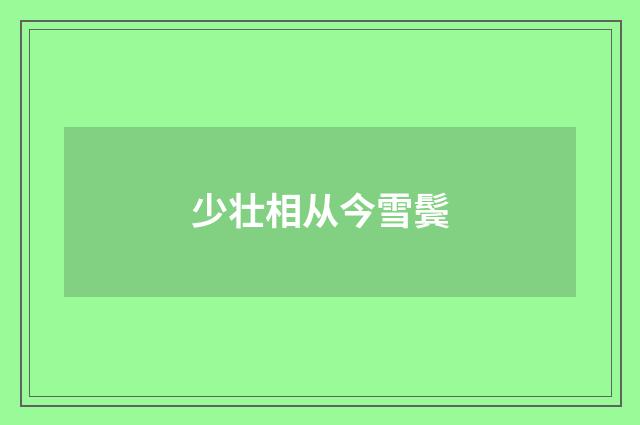 少壮相从今雪鬓