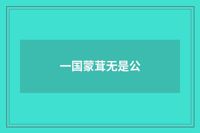一国蒙茸无是公