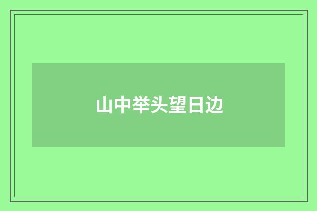 山中举头望日边