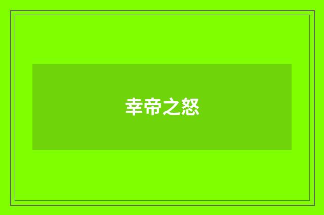 幸帝之怒