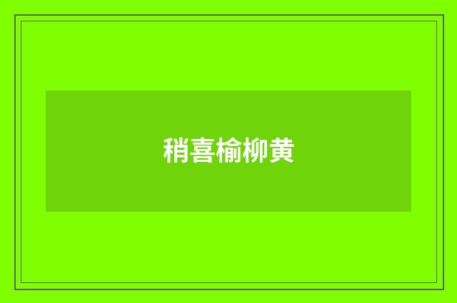 稍喜榆柳黄