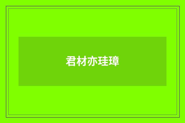 君材亦珪璋