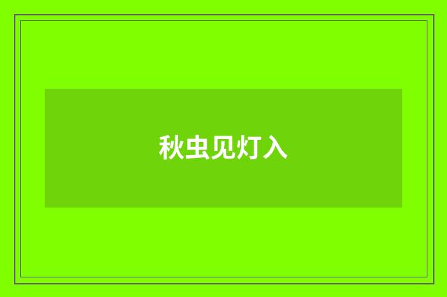秋虫见灯入