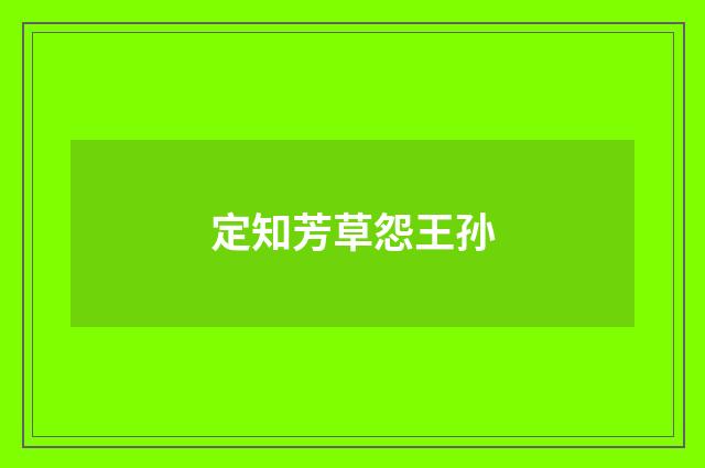 定知芳草怨王孙
