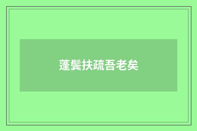 蓬鬓扶疏吾老矣