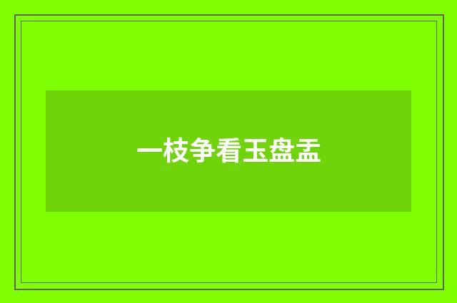 一枝争看玉盘盂