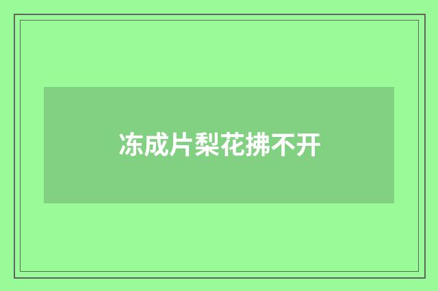 冻成片梨花拂不开