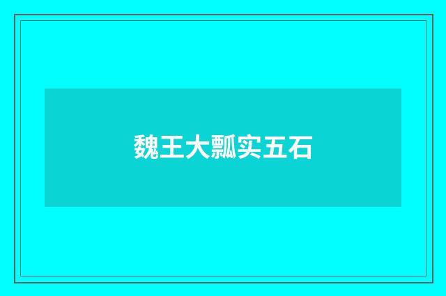 魏王大瓢实五石