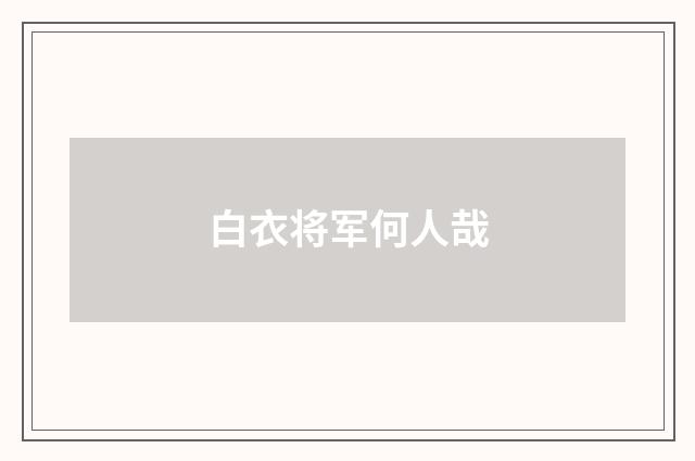 白衣将军何人哉