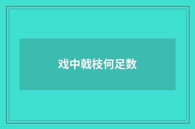 戏中戟枝何足数