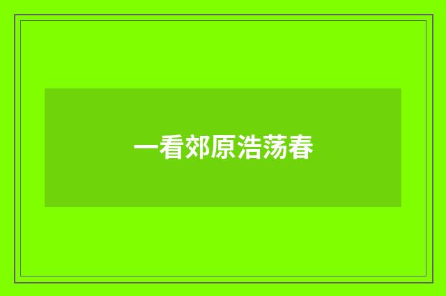 一看郊原浩荡春