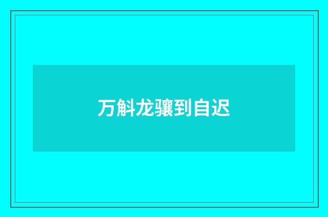 万斛龙骧到自迟