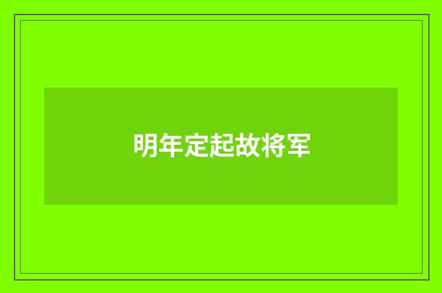 明年定起故将军