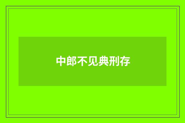 中郎不见典刑存