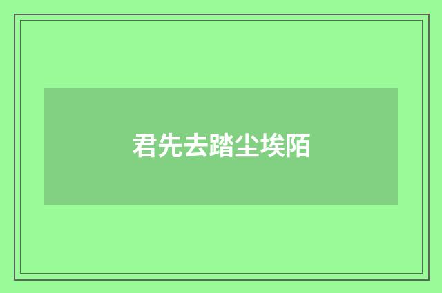 君先去踏尘埃陌
