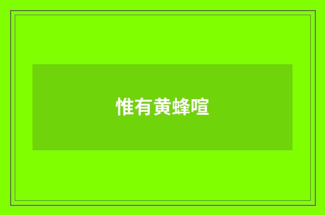 惟有黄蜂喧