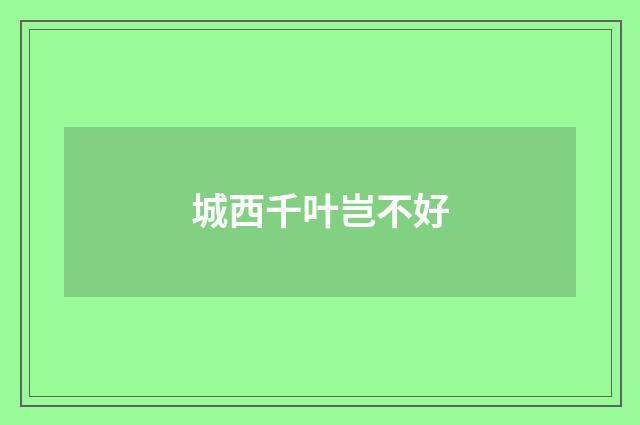 城西千叶岂不好