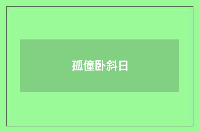 孤僮卧斜日