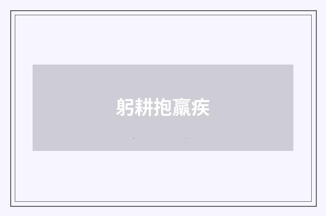 躬耕抱羸疾