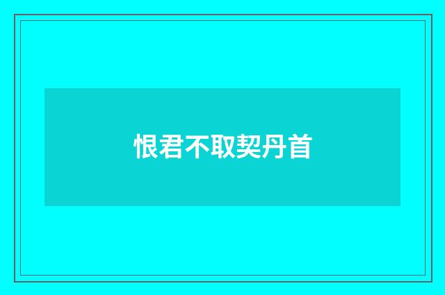 恨君不取契丹首