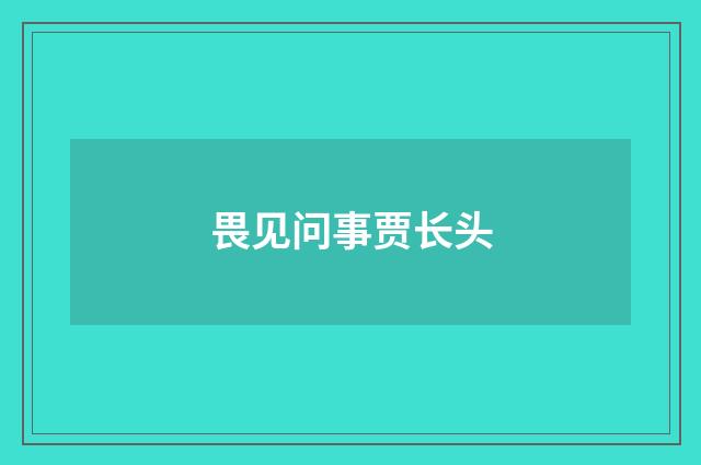 畏见问事贾长头