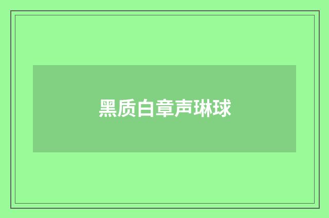黑质白章声琳球