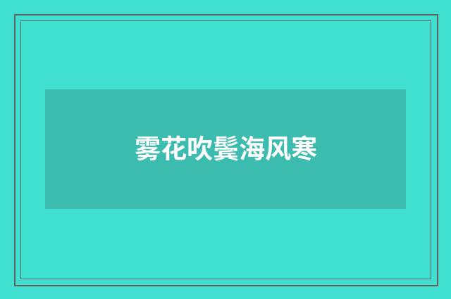 雾花吹鬓海风寒