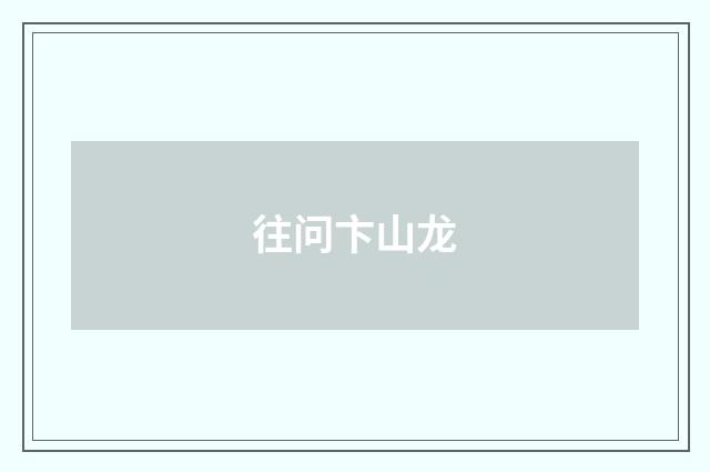 往问卞山龙