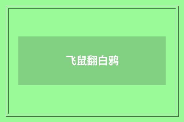 飞鼠翻白鸦