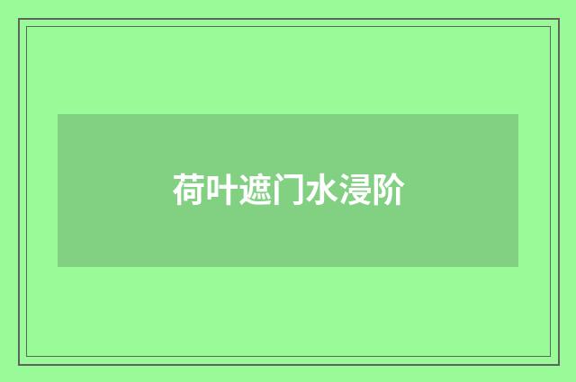 荷叶遮门水浸阶