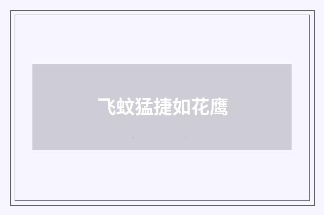 飞蚊猛捷如花鹰