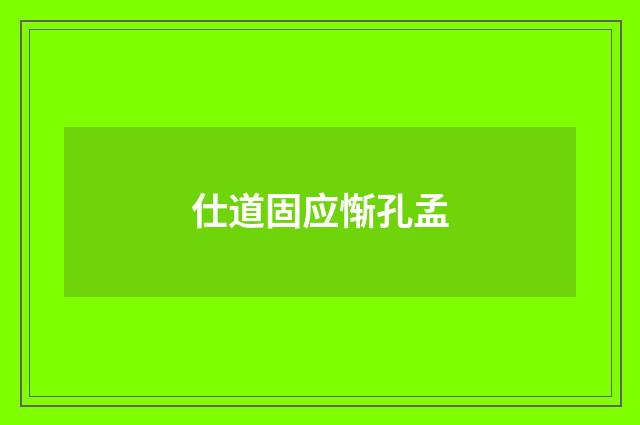 仕道固应惭孔孟