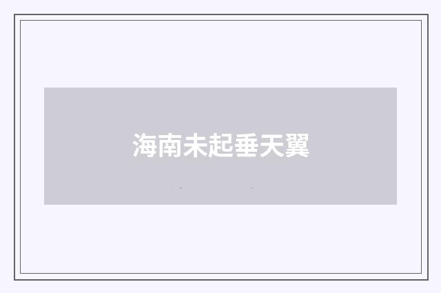海南未起垂天翼