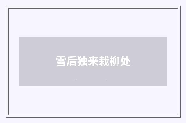 雪后独来栽柳处